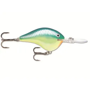 Rapala DT 16 Crankbait Caribbean Shad