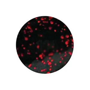 Do-it Molds Pro-Tec Powder Lure Paint Black Neon 2 oz