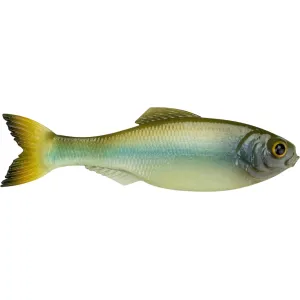 6th Sense Panorama 5" Jerkbait Ghost Minnow