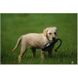 Avery 2" Canvas Bumper Dog Training Dummy Flasher