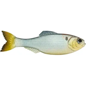6th Sense Panorama 5" Jerkbait Shad Clone