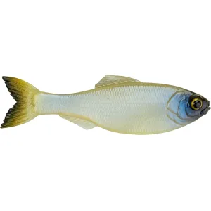 6th Sense Panorama 5" Jerkbait Ghost Bone