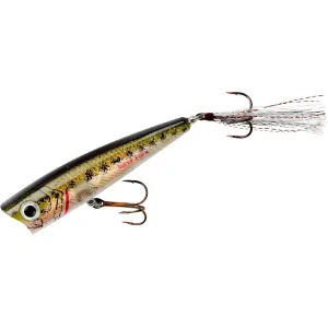 Rebel Super Pop-R Topwater Baby Bass