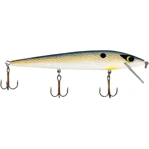 Smithwick Suspending Rattlin' Rogue Jerkbait Foxy Shad