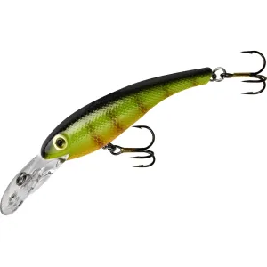 Cotton Cordell Wally Diver CD6 Crankbait Perch