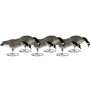 Dakota Decoy Signature Series Full Body Fully Flocked Feeder Canada Goose Decoy 6PK with Bags