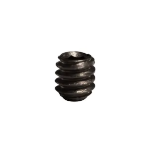Ruger Bearcat Pawl Spring Retaining Screw Blue