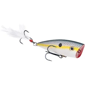 Strike King Bitsy Splash Topwater Sexy Shad