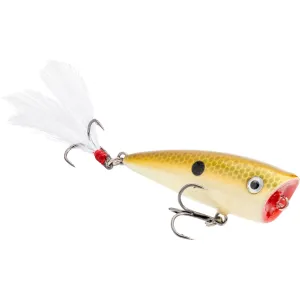 Strike King Bitsy Splash Topwater Tennessee Shad