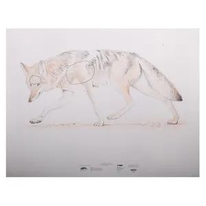 NRA Official Lifesize Game Target Coyote Paper 25PK