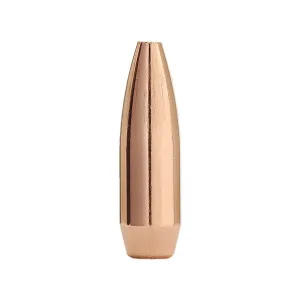 Factory Second 22 Caliber (224 Diameter) Bullets 55 Grain Hollow Point Box of 100 (Bulk Packaged)