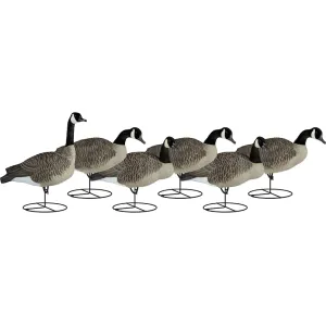 Dakota Decoy Signature Series Full Body Upright Canada Goose Decoy 6PK