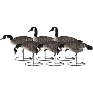 Dakota Decoys X-treme Fully Flocked Lesser Canada Goose Decoys 6PK