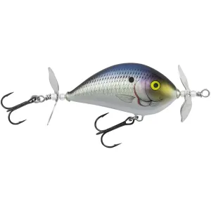 Bagley Pro Sunny B Twin Spin 07 Topwater Realistic Shad