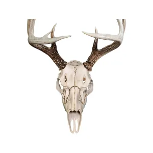 Illusion Systems Skull Master Natural Causes Universal Antler Mounting Kit