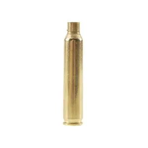 Remington 204 Ruger Brass Bag of 100