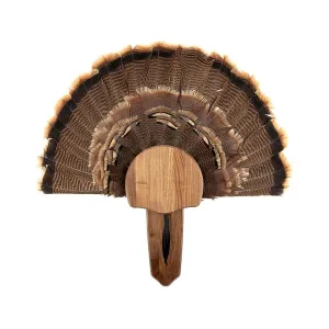 Foggy Bottom Woodworks Turkey Mounting Kit Walnut