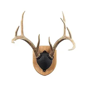 Foggy Bottom Woodworks Antler Mounting Kit Oak