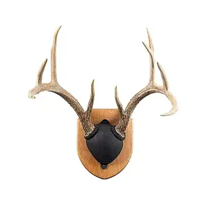 Foggy Bottom Woodworks Antler Mounting Kit Cherry