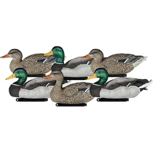 Dakota Decoys X-treme Packable Mallard Duck Decoys Painted Heads 6PK