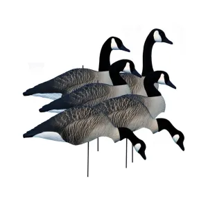 Higdon Alpha Wobbler Magnum Full Form Shell Canada Goose Decoy Polymer 6PK