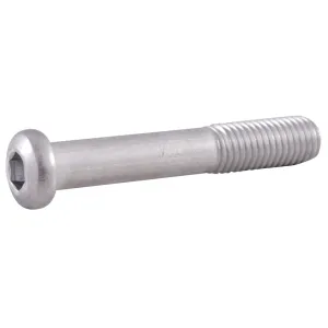 Savage Arms Action Screw (Rear) for Model 12 with Laminate Stock Hex Head Stainless Steel