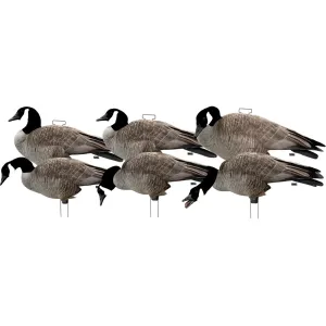 GHG Silhouette Canada Goose Decoy with Flocked Head Pack of 12