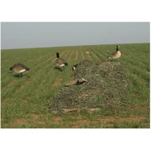 Avery KillerWeed Layout Blind Kit Winter Wheat Camo