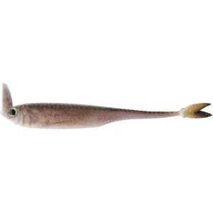6th Sense Masterclass Strobe Shaker 3.3" Swimbait Live Minnow