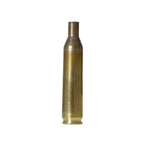 Remington 17 Remington Brass Bag of 100