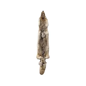 NO-BS Tanned Coyote Pelt Grade 1