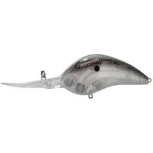 Bill Lewis DR 24 Crankbait Green Gizzard