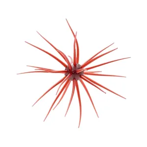 Hideup Coike 17mm Urchin Scuppernong