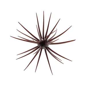 Hideup Coike 13mm Urchin Green Pumpkin