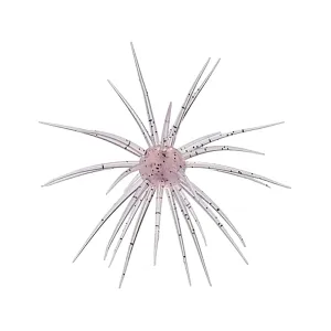 Hideup Coike 13mm Urchin Clear Salmon Pepper