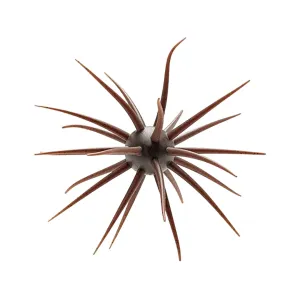 Hideup Coike Fullcast Urchin Green Pumpkin