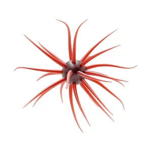 Hideup Coike Fullcast Urchin Scuppernong