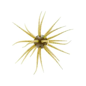 Hideup Coike Fullcast Urchin Watermelon Seed