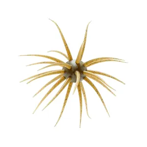 Hideup Coike Fullcast Urchin Green Pumpkin Pepper/Blue Flake