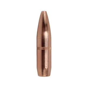 Factory Second 30 Caliber (308 Diameter) Bullets 205 Grain Jacketed Hollow Point Box of 100 (Bulk Packaged)