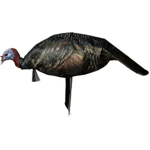 Montana Decoy Jake Purr-Fect XD3 Jake Turkey Decoy