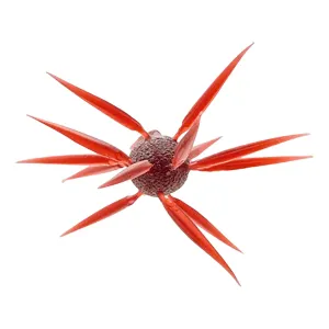 Hideup Coike Fish Elastomer Large Urchin Scuppernong