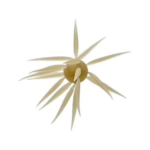 Hideup Coike Fish Elastomer Large Urchin Clear Wakasagi
