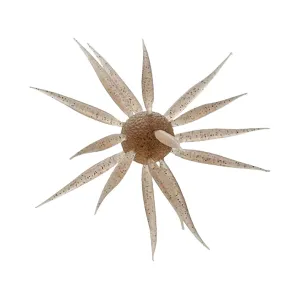 Hideup Coike Fish Elastomer Large Urchin Ebi Dappi