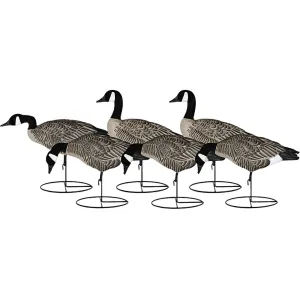 Dakota Decoys X-treme Lesser Canada Goose Decoys 6PK