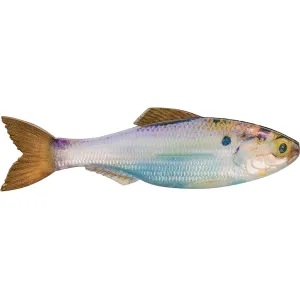 6th Sense Plump Panorama 5.0 Jerkbait Live Gizzard Shad