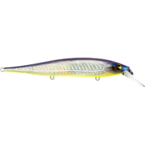 BassMooch HC 115 Jerkbait Elegy Bone