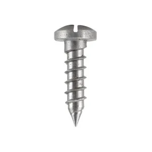 Galazan Slotted Oval .315" Diameter Head Wood Screw .75"