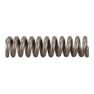 Ruger GP100, Super Redhawk 44 Remington Magnum Trigger Guard Latch Spring