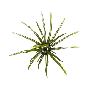 Hag's Baits Prickly Pear 19mm Urchin Hag's Pumpkin
